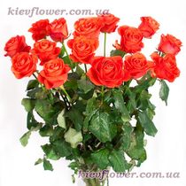 Coral roses